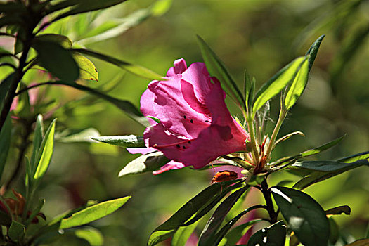 bạch thủ lô kép hôm nay