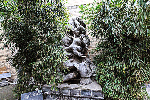 soi rong bach kim