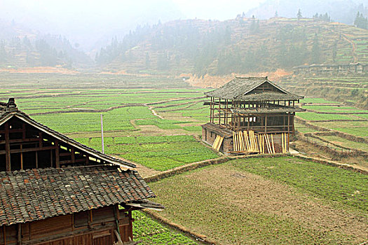 dự đoán miền bắc