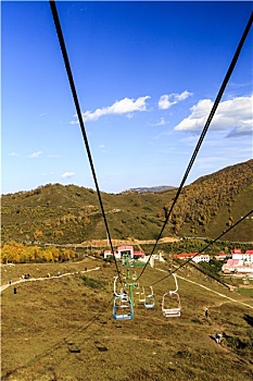 soi câu 24
