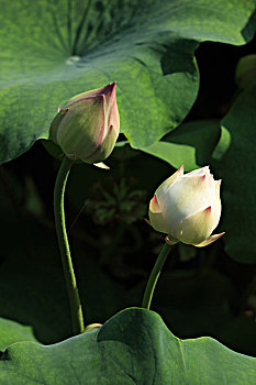 xổ số miền nam thứ ba tuần rồi