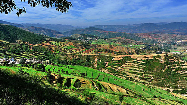 chốt số chuẩn