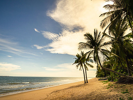 soi cau bach thu xsmb