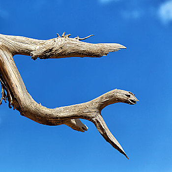 kết quả xổ số