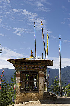 soi lô bạch thủ