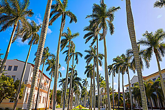 miền bắc thứ sáu