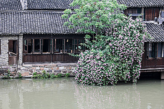 sô xô miên bắc hôm nay