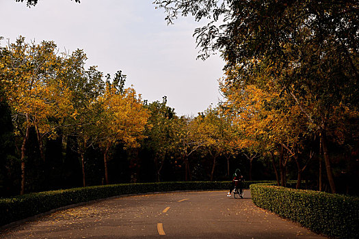 xổ số an giang trực tiếp