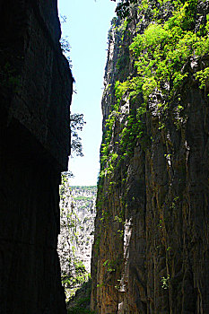 xs thu nam