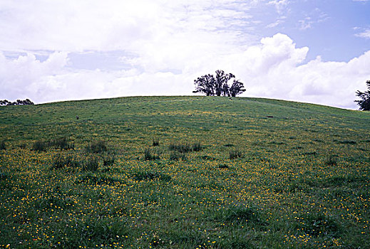 soi cầu miền