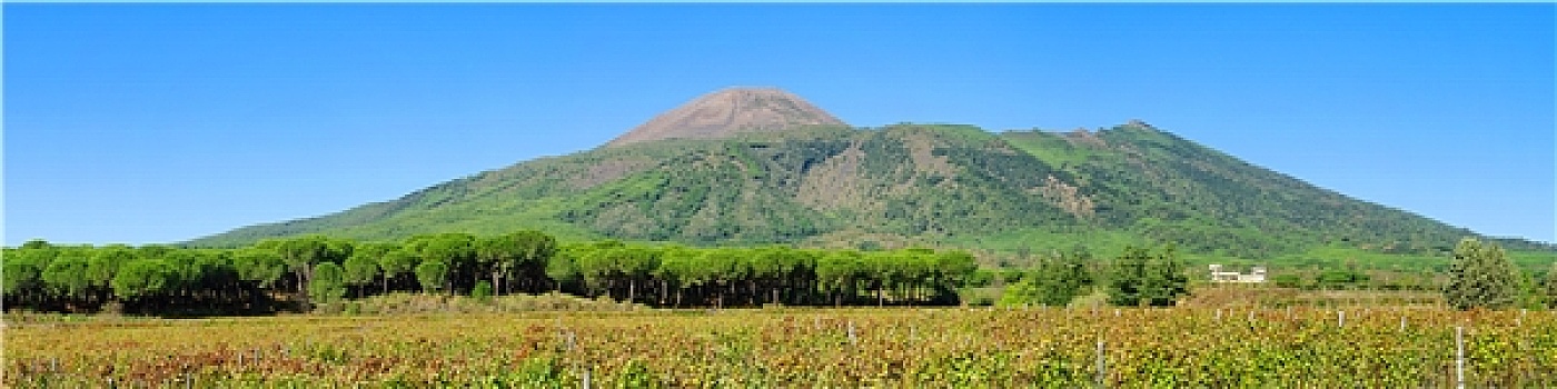 soi cau nam
